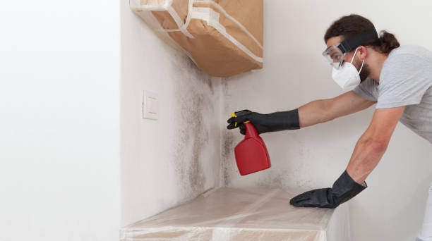 Professional Mold Testing technician working in West Roxbury, MA
