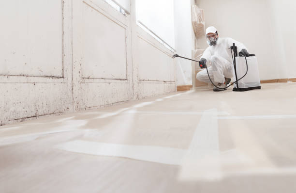 24/7 Emergency Mold Testing experts in West Roxbury, MA