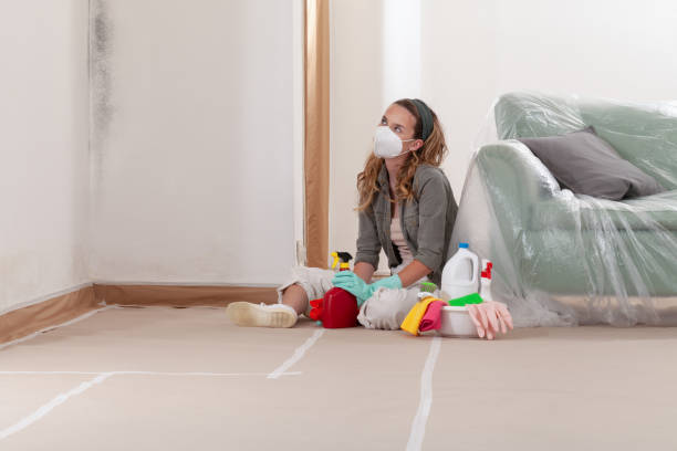 Reliable Mold Testing contractor in West Roxbury, MA by WQB Mold Removal